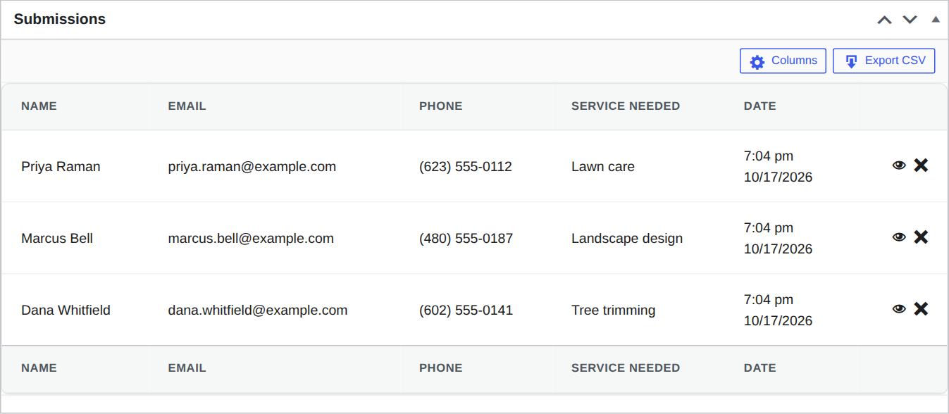 Saved form submissions in Custom Contact Forms showing name, email, phone, service needed and date, with Columns and Export CSV buttons